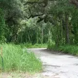 Get out of my Swamp!