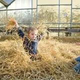 Pezza Farms photo