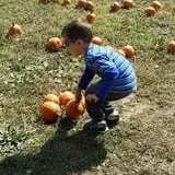 Pezza Farms photo
