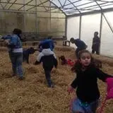 Pezza Farms photo