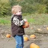 Pezza Farms photo