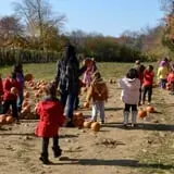 Pezza Farms photo
