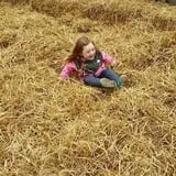 Pezza Farms photo