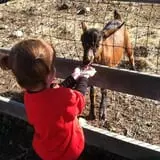 Pezza Farms photo