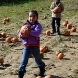 Pezza Farms photo