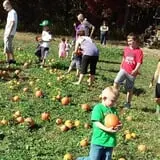 Pezza Farms photo