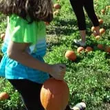 Pezza Farms photo