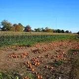 Pezza Farms photo
