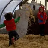 Pezza Farms photo