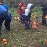 Pezza Farms photo