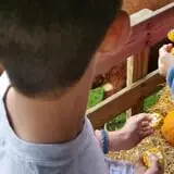 Pezza Farms photo