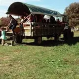 Pezza Farms photo
