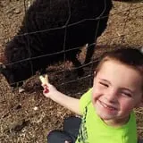 Pezza Farms photo