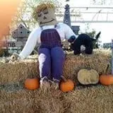 Pezza Farms photo