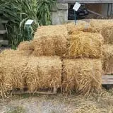 Pezza Farms photo