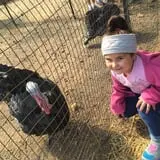 Pezza Farms photo