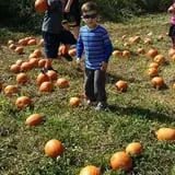 Pezza Farms photo