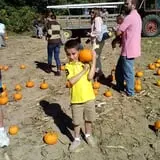 Pezza Farms photo