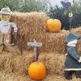Pezza Farms photo