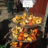 Pezza Farms photo