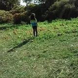 Pezza Farms photo