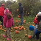 Pezza Farms photo