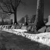 Hope Cemetery photo