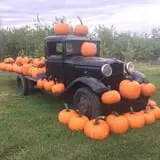 Northern Orchard Co photo