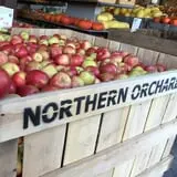 Northern Orchard Co photo