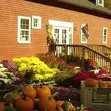 Boston Hill Farm photo