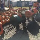 Harvest Ridge Corntacular Adventure photo