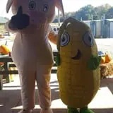 Harvest Ridge Corntacular Adventure photo