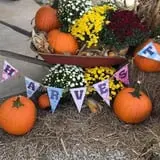 Harvest Ridge Corntacular Adventure photo