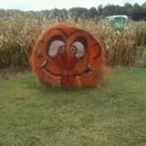 Harvest Ridge Corntacular Adventure photo