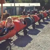 Harvest Ridge Corntacular Adventure photo