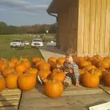 Harvest Ridge Corntacular Adventure photo
