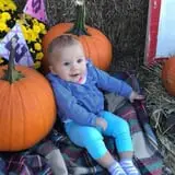 Harvest Ridge Corntacular Adventure photo