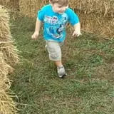 Harvest Ridge Corntacular Adventure photo
