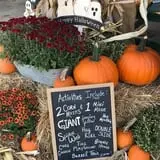 Harvest Ridge Corntacular Adventure photo
