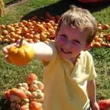Harvest Ridge Corntacular Adventure photo