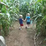 Harvest Ridge Corntacular Adventure photo