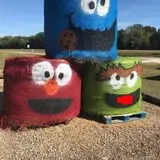 Harvest Ridge Corntacular Adventure photo