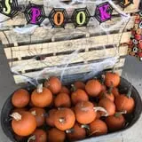 Harvest Ridge Corntacular Adventure photo