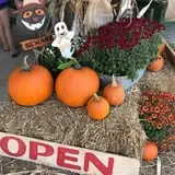 Harvest Ridge Corntacular Adventure photo