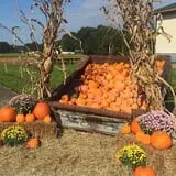 Harvest Ridge Corntacular Adventure photo