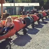 Harvest Ridge Corntacular Adventure photo