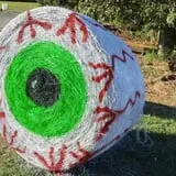 Harvest Ridge Corntacular Adventure photo