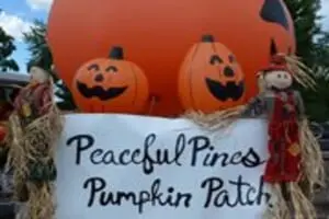 Peaceful Pines Farm - Pumpkin Patch and Orchard