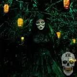 Screams In The Dark - Blackwood Hollow photo
