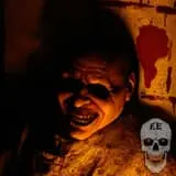 Screams In The Dark - Blackwood Hollow photo